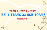 Bài 1 trang 22 SGK Toán 8 Tập 1 Chân trời sáng tạo